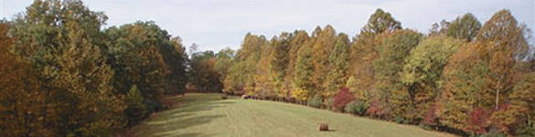 Grist Mill